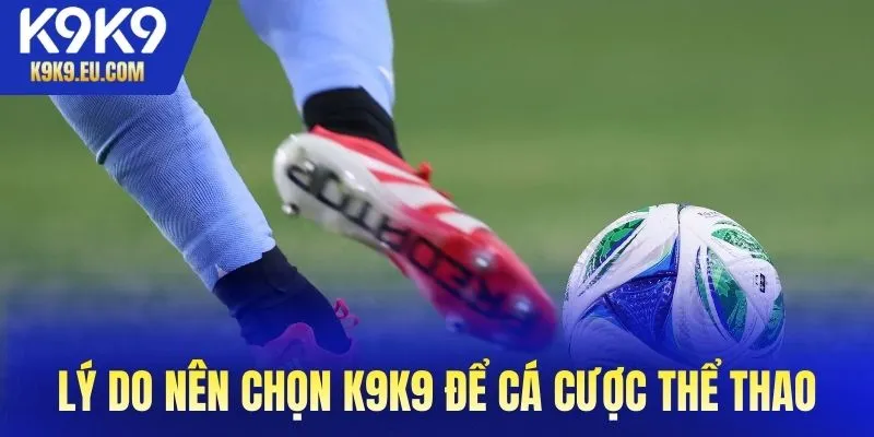 Lý do nên chọn K9K9 để cá cược thể thao online