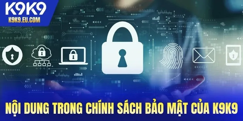 Nội dung cụ thể trong chính sách bảo mật K9K9
