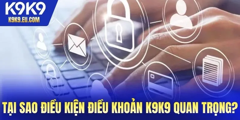 Tại sao điều kiện và điều khoản K9K9 lại quan trọng?